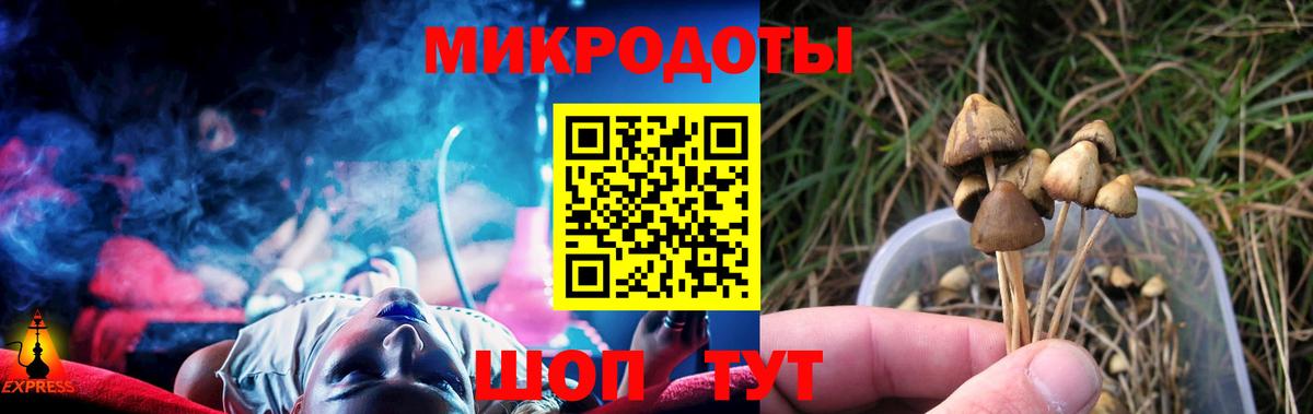 Псилоцибиновые грибы мухоморы Ефремов